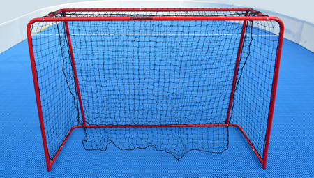 FLOORBEE Dock Collapsible floorball goal with net
