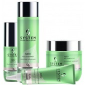 System Professional Nativ