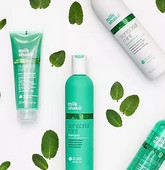 Sensorial Mint
