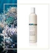 Purifying Blend