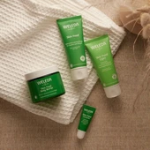 Skin Food