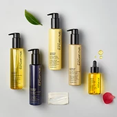 Essence Absolue