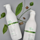 Sensorial Mint