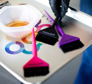 Framar Brushes