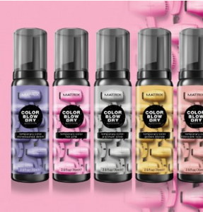 Matrix Color Blow Dry