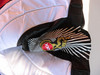 Goalie Pants X3M Special Edition1