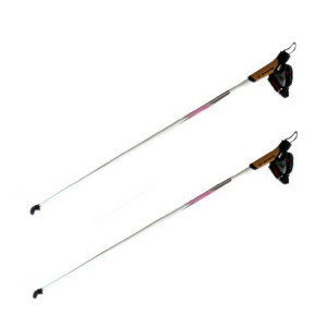 Nordic walking hůlky Erbc - výprodej