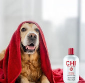 For Dogs
