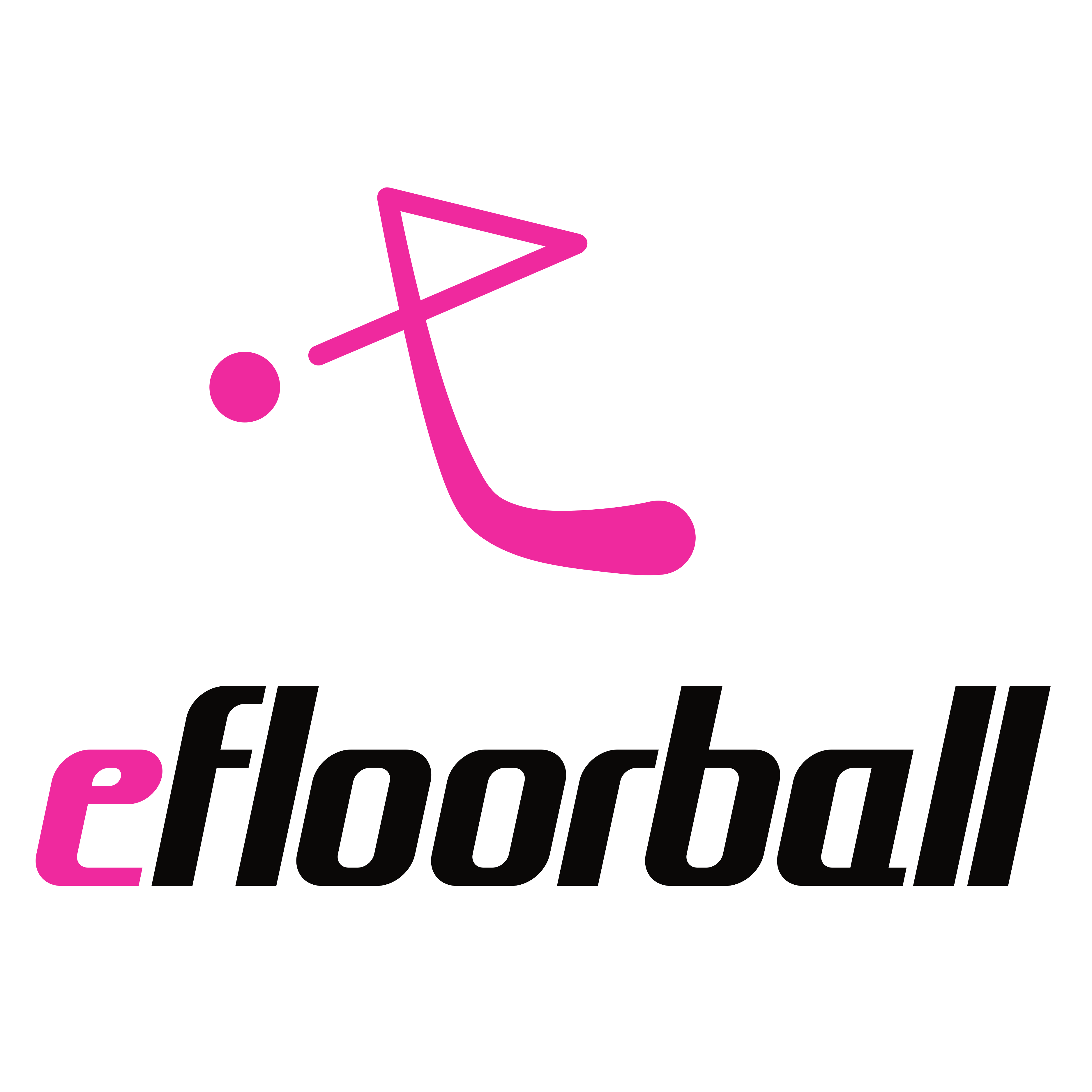 (c) Efloorball.net