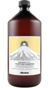 Obrázok Šampon DAVINES NATURALTECH Purifying Shampoo 1l