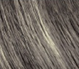 Tangle Teezer Pet Teezer De-Shedding & Dog Grooming Brush velký kartáč k vyčesávání dlouhé a hrubé srsti mazlíčků