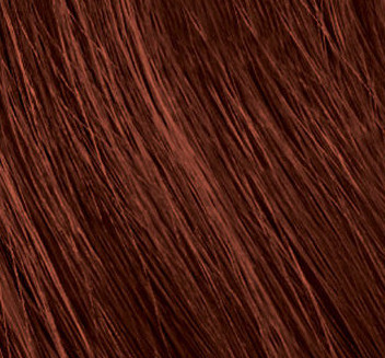 Schwarzkopf Professional Igora Royal Color trvalá farba vlasov
