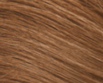 Tangle Teezer Wet Detangler hair brush for wet hair
