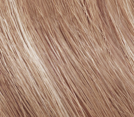 Schwarzkopf Professional Igora Royal Color permanent hair color