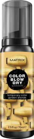Matrix Color Blow Dry Temporary Color washable coloring foam