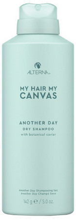 Alterna My Hair My Canvas Another Day Dry Shampoo dry shampoo