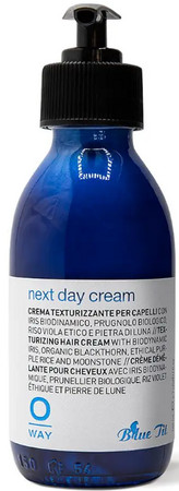 Oway Blue Tit Next Day Cream Texturizing cream for hair