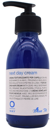 Oway Blue Tit Next Day Cream Texturizing cream for hair