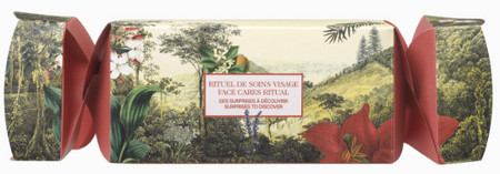 Payot Christmas Beauty Cracker