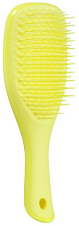Tangle Teezer Mini Wet Detangler Minibürste für nasses Haar