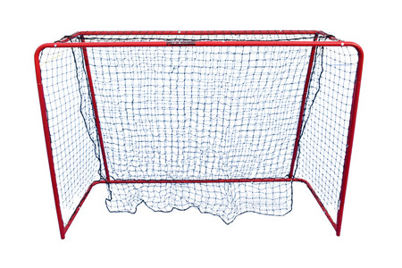 FLOORBEE Dock Collapsible floorball goal with net