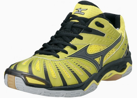 Indoor shoes Mizuno Wave Stealth 2 ´12