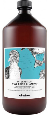 Davines NaturalTech Well Being Shampoo feuchtigkeitsspendendes Shampoo