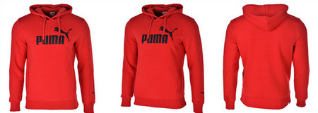 Hooded Sweatshirt Puma `16