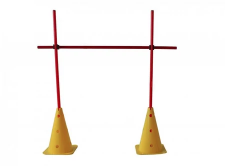 Eurostick Hurdle Medi auf Coaching setzen