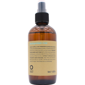 Oway Phytoprotein Mist 160 ml