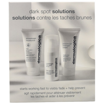 Dermalogica Power Bright Dark Spot Solutions Kit