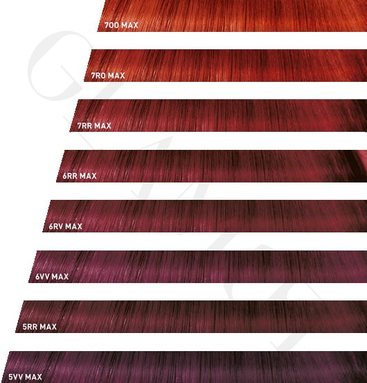 Goldwell Topchic Color Chart