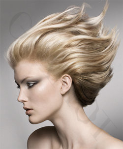 Goldwell Topchic