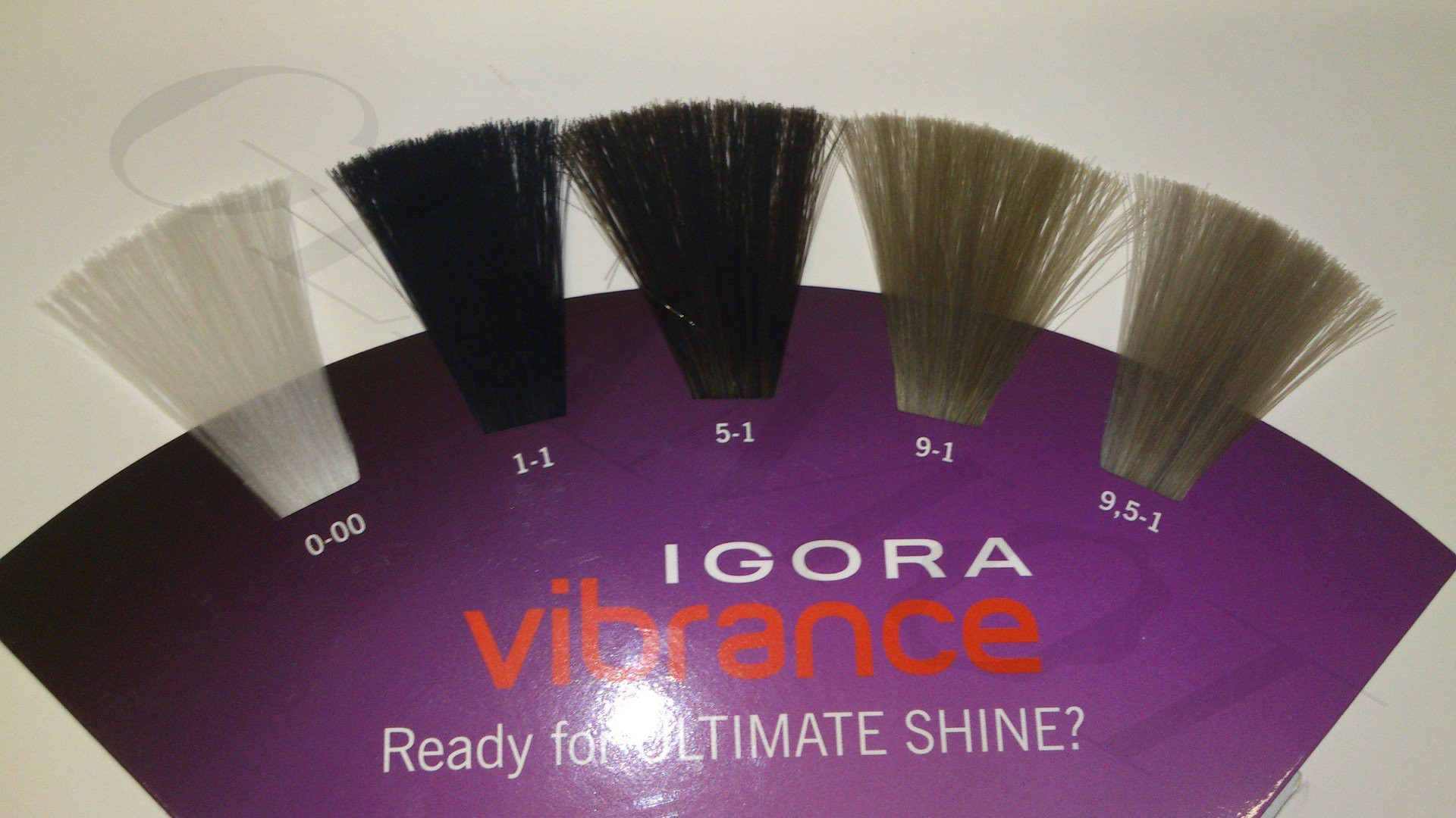 Igora Vibrance Shade Chart