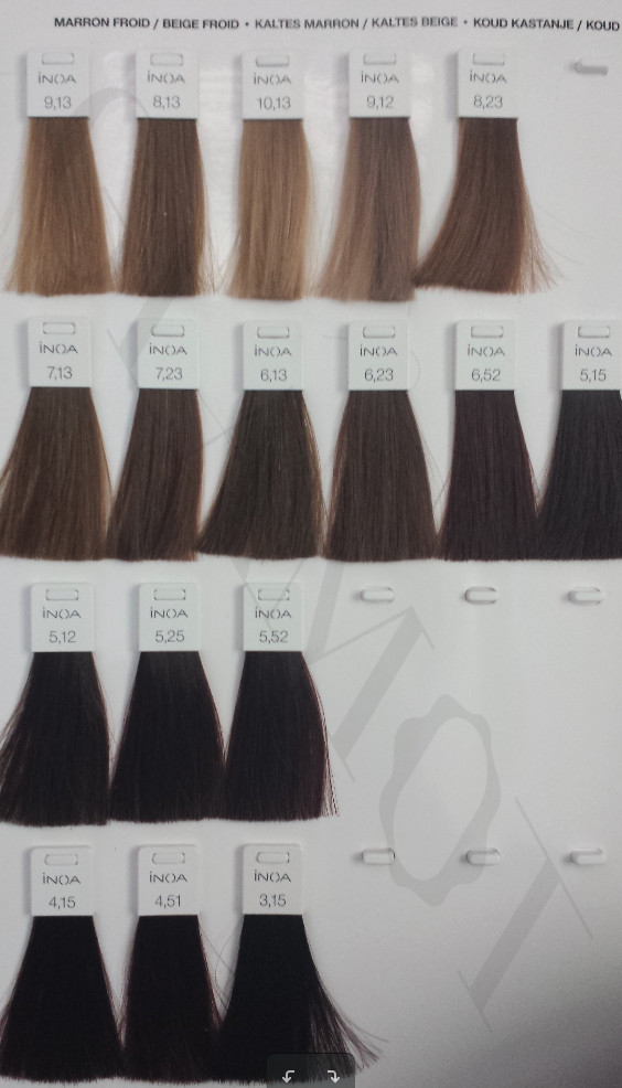 L'Oréal Professionnel Inoa ODS2 permanent hair color without ammonia ...