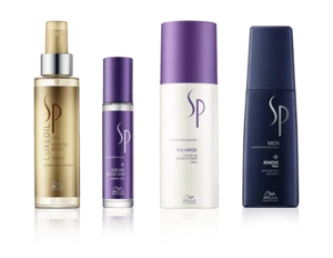 SP - System Professional
