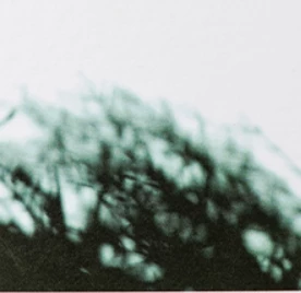 Korres Vetiver Root
