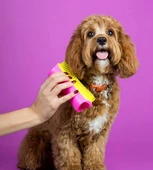 Pet Teezer