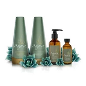 Agave