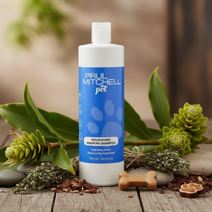 John Paul Pet Wild Ginger