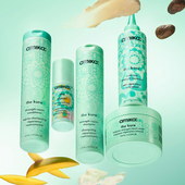 Amika Strength Repair