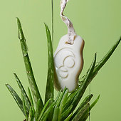 Foamie Aloe You Vera Much