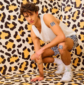 Wild Stripes Classic Sensitive