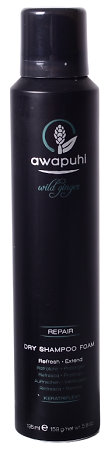 Paul Mitchell Awapuhi Wild Ginger Repair Dry Shampoo Foam dry foam shampoo