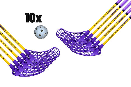 FLOORBEE Albatross mini JET + Balls Floorball set