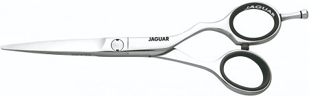 Jaguar Euro-Tech