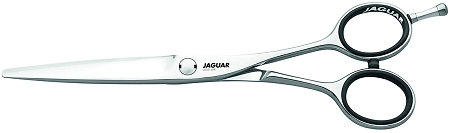 Jaguar Gold Line Dynasty