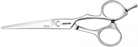 Jaguar Silver Line Xena