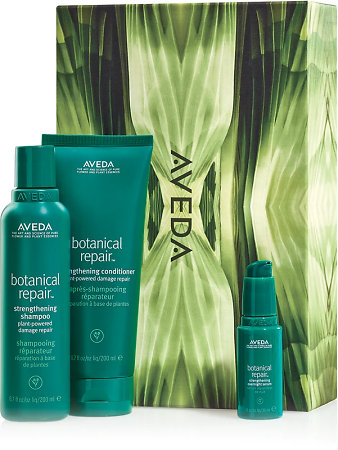 Aveda Botanical Repair Hair Repair Essentials Set