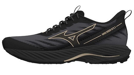 Mizuno Wave Rider GTX 2 Lady J1GD247921 Running shoes